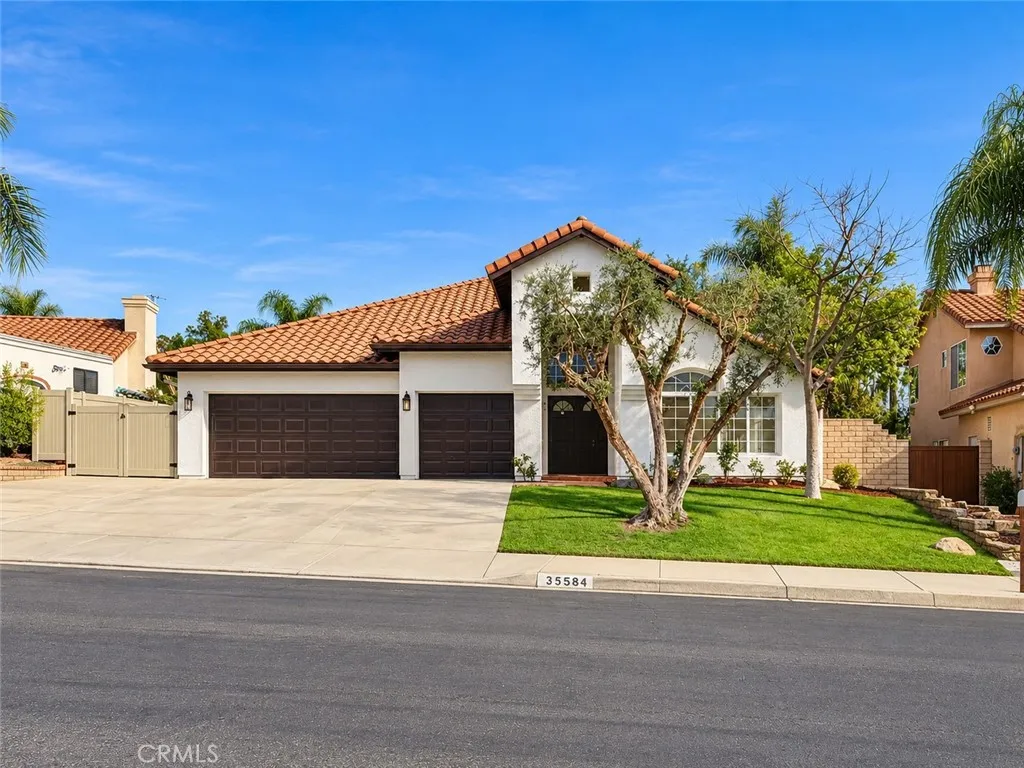 35584 Larkspur — photo