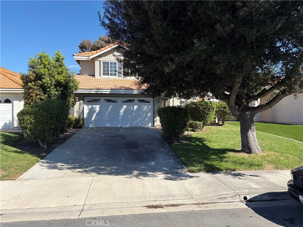 30294 Cupeno — photo