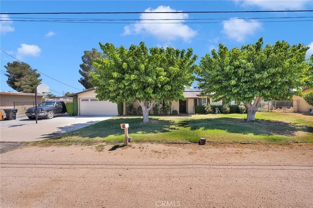 15413 Don Roberto — photo