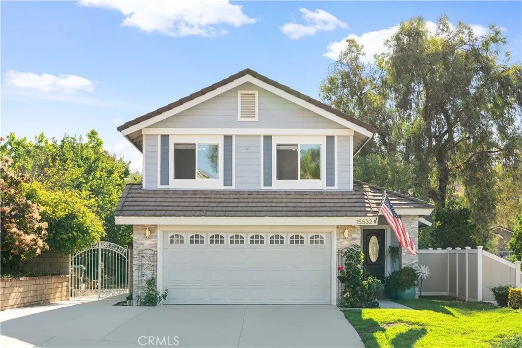 15532 Ficus — photo