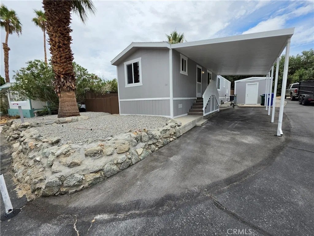 14 Yucca — photo