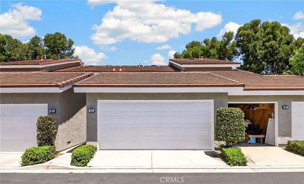 93 Goldenrod — photo