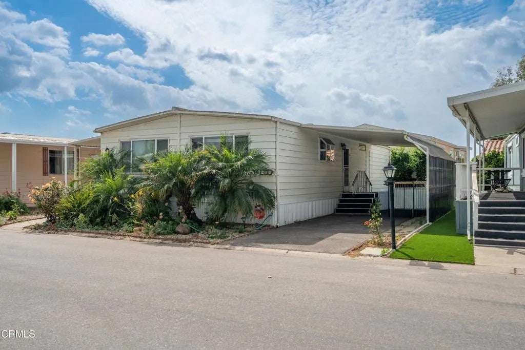 33 Heather 33 — photo