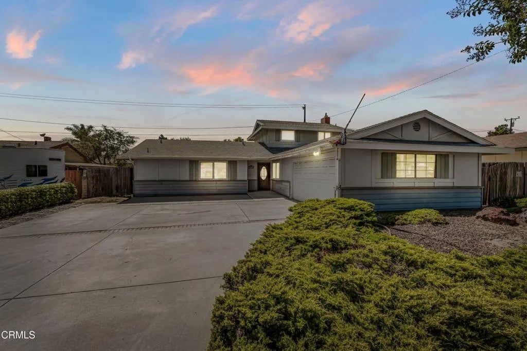 243 Pajaro — photo