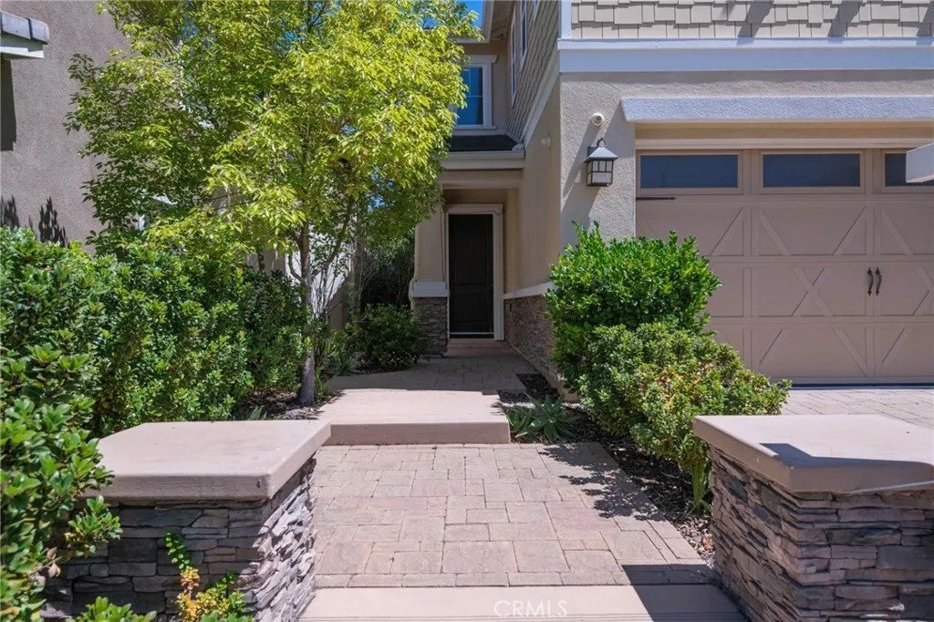10 Willow — photo