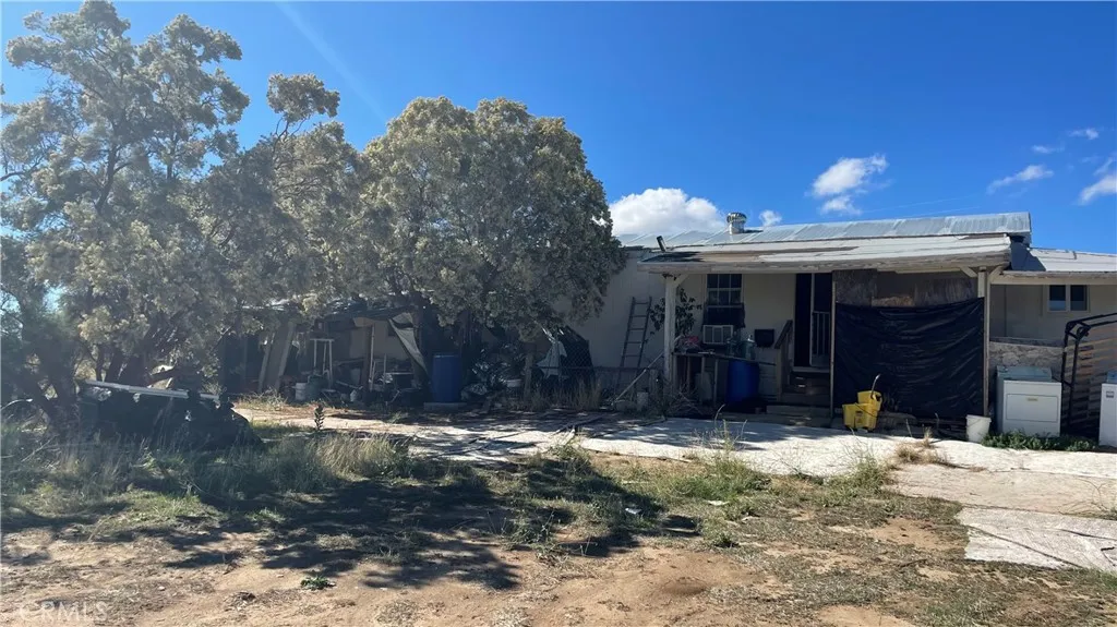 59880 Anzanita — photo
