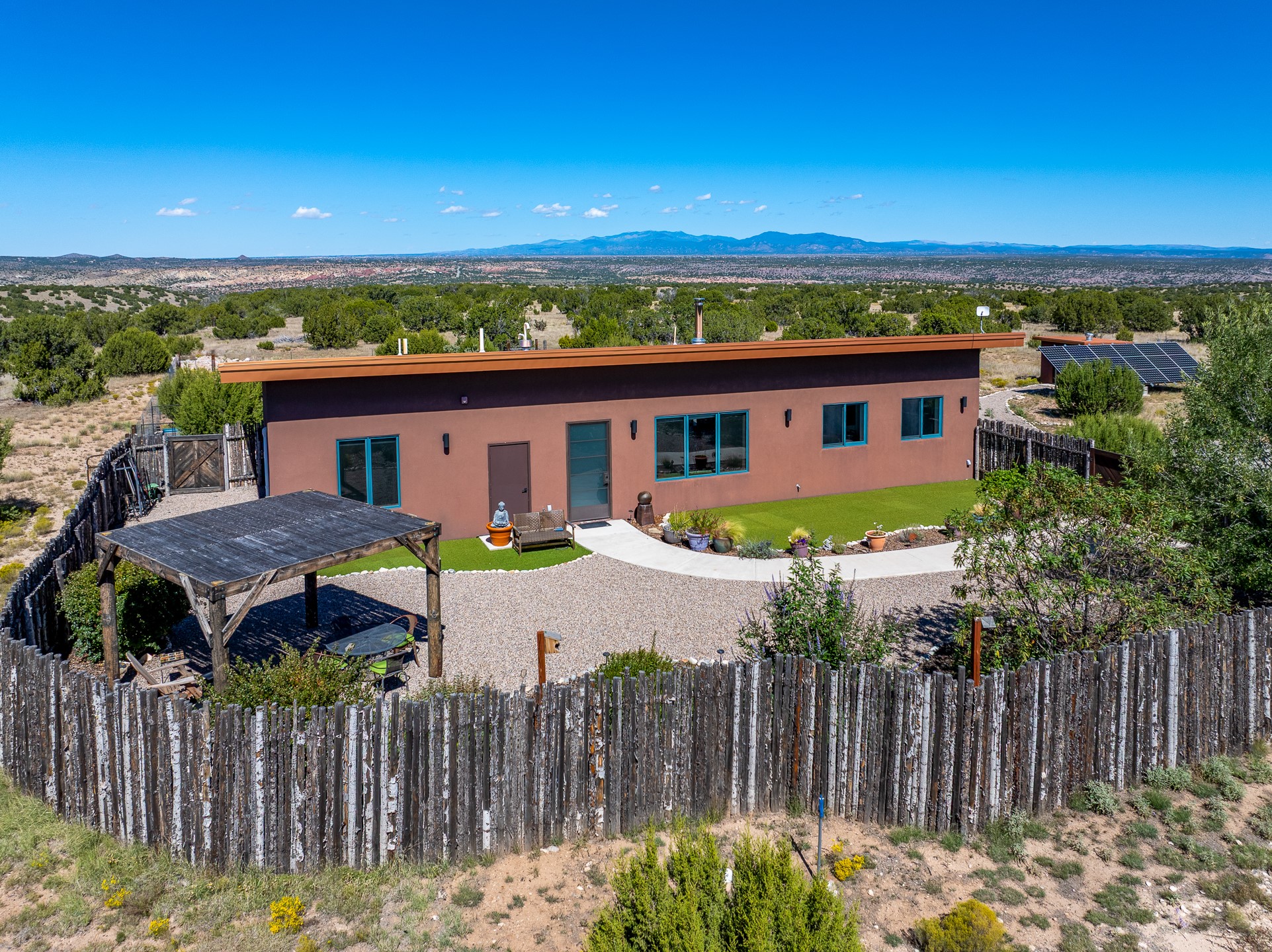 49 Blue Agave — photo