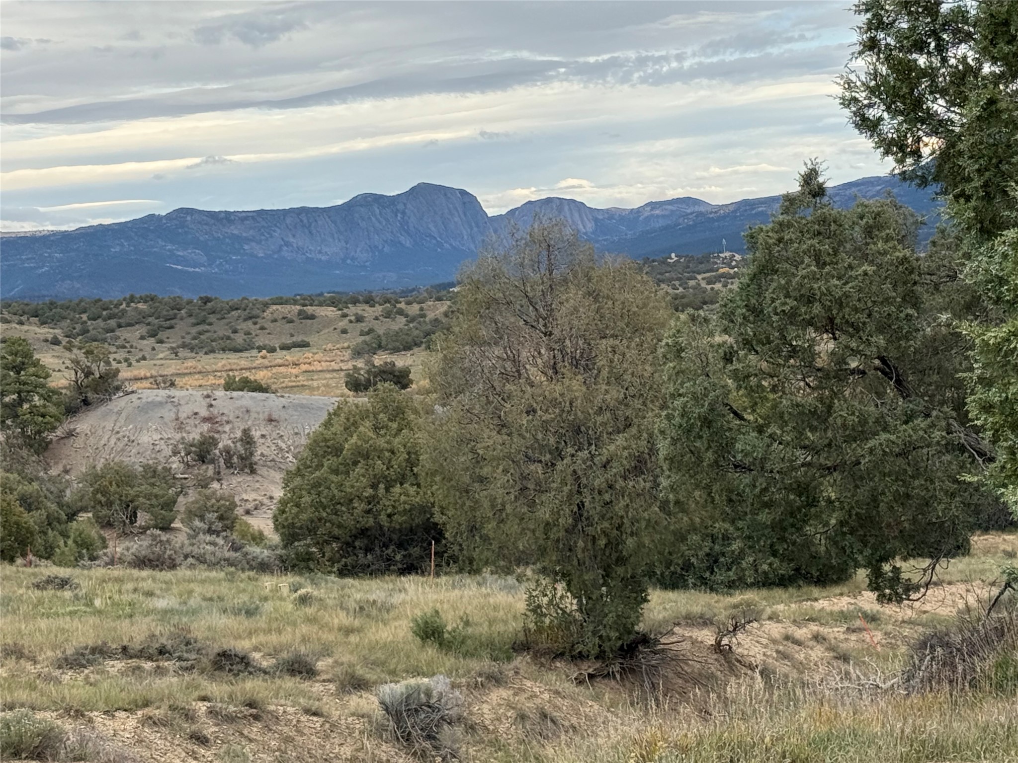 31 Bobcat Loop — photo