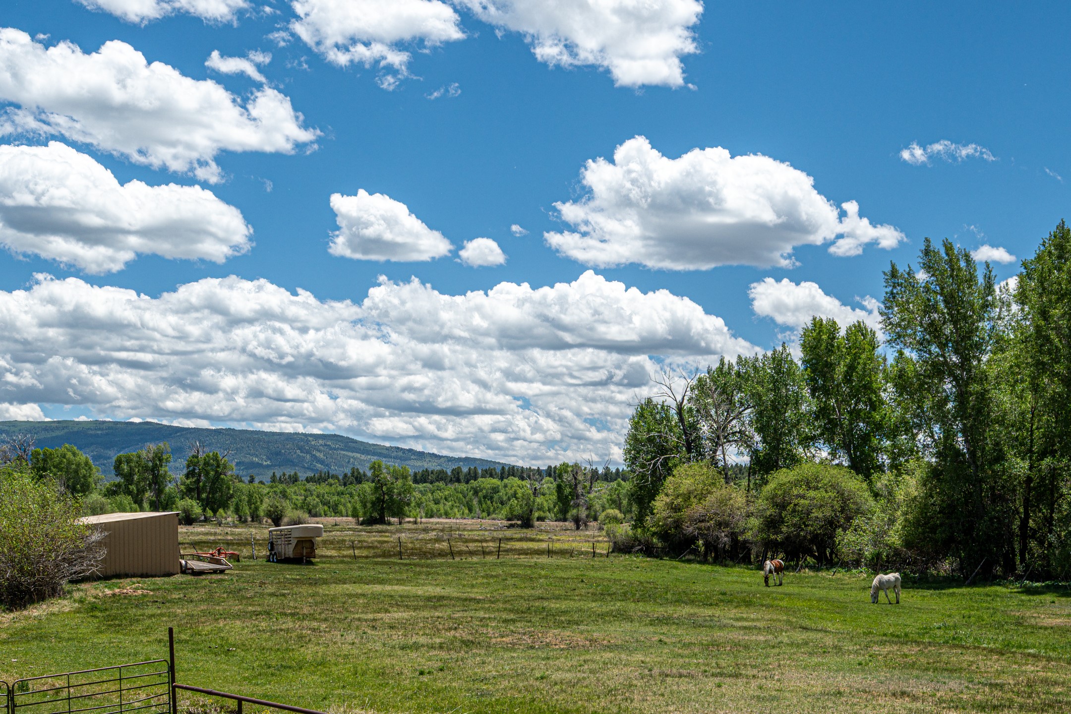 17091 B US Hwy 84/64 — photo