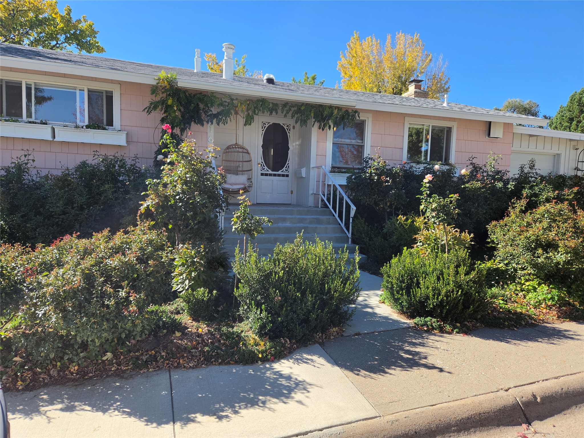 916 Tewa — photo