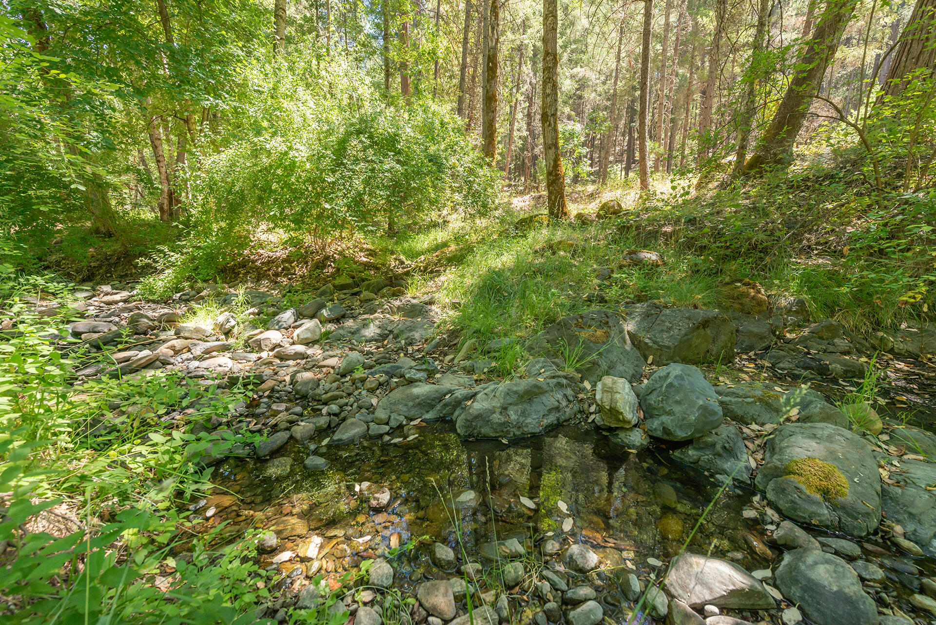 4298 Little Browns Creek Road — photo
