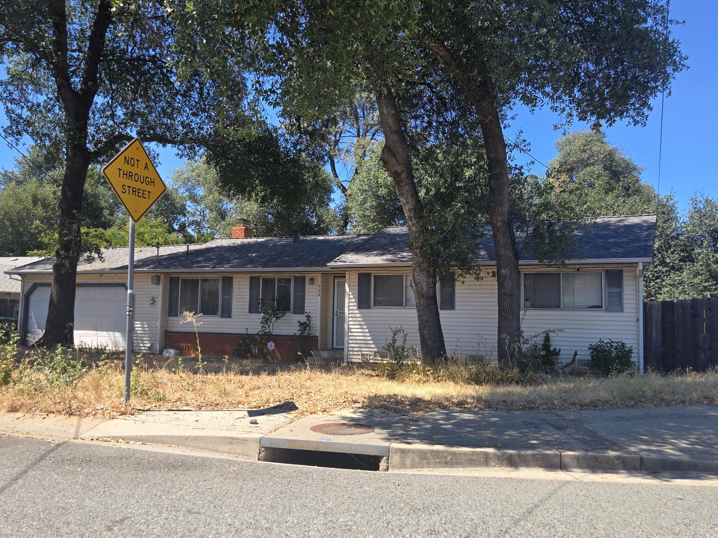 984 Camino — photo