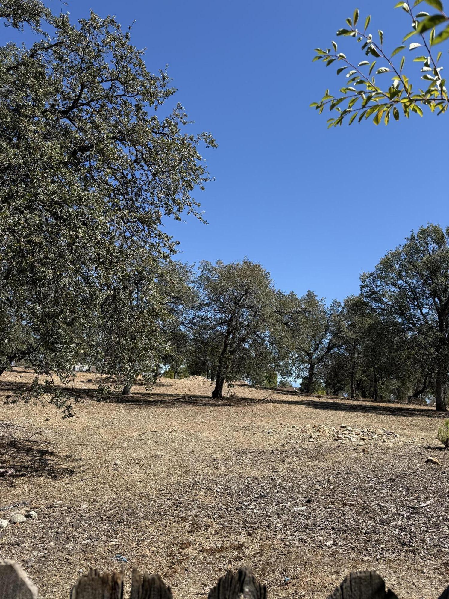 3605 Summit Drive, Redding, CA 96001 — photo 3