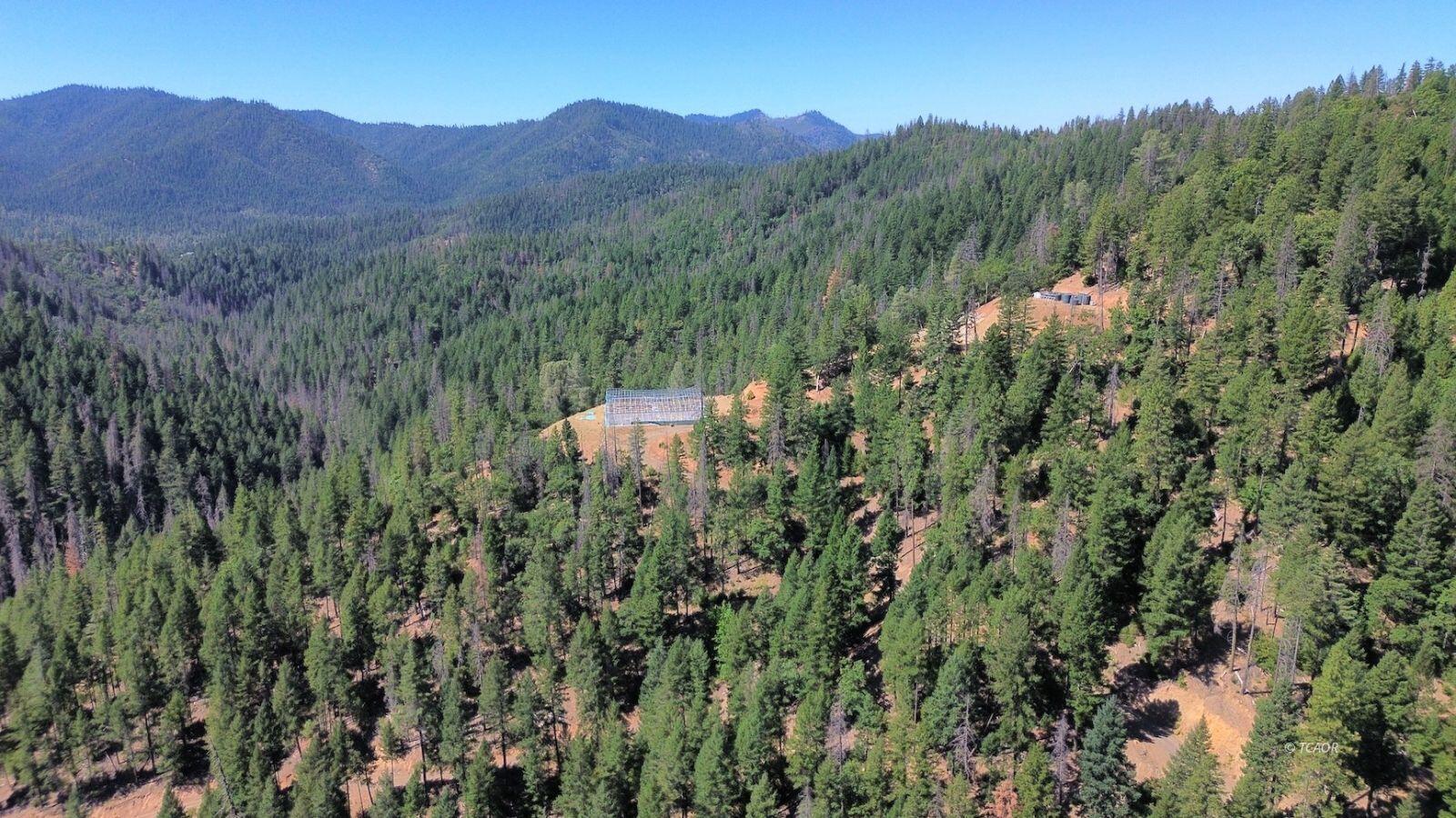 000 Devils Gulch Road, Hayfork, CA 96041 — photo 2