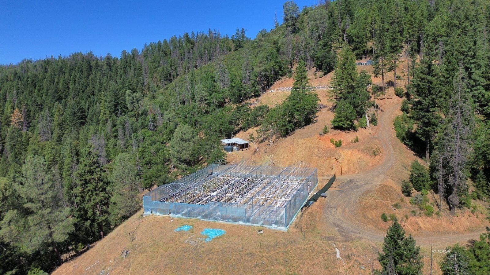 000 Devils Gulch Road, Hayfork, CA 96041 — photo 3