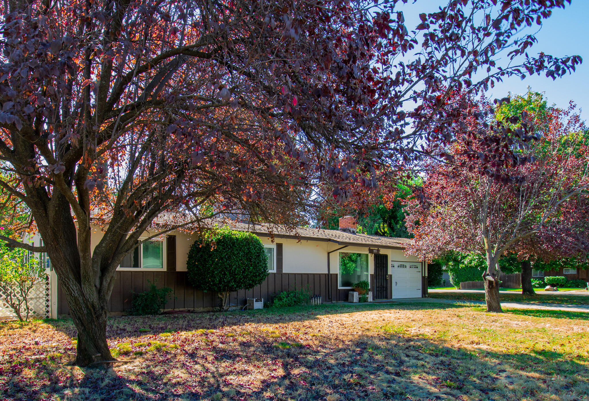 355 Olympus Avenue, Redding, CA 96001 — photo 3