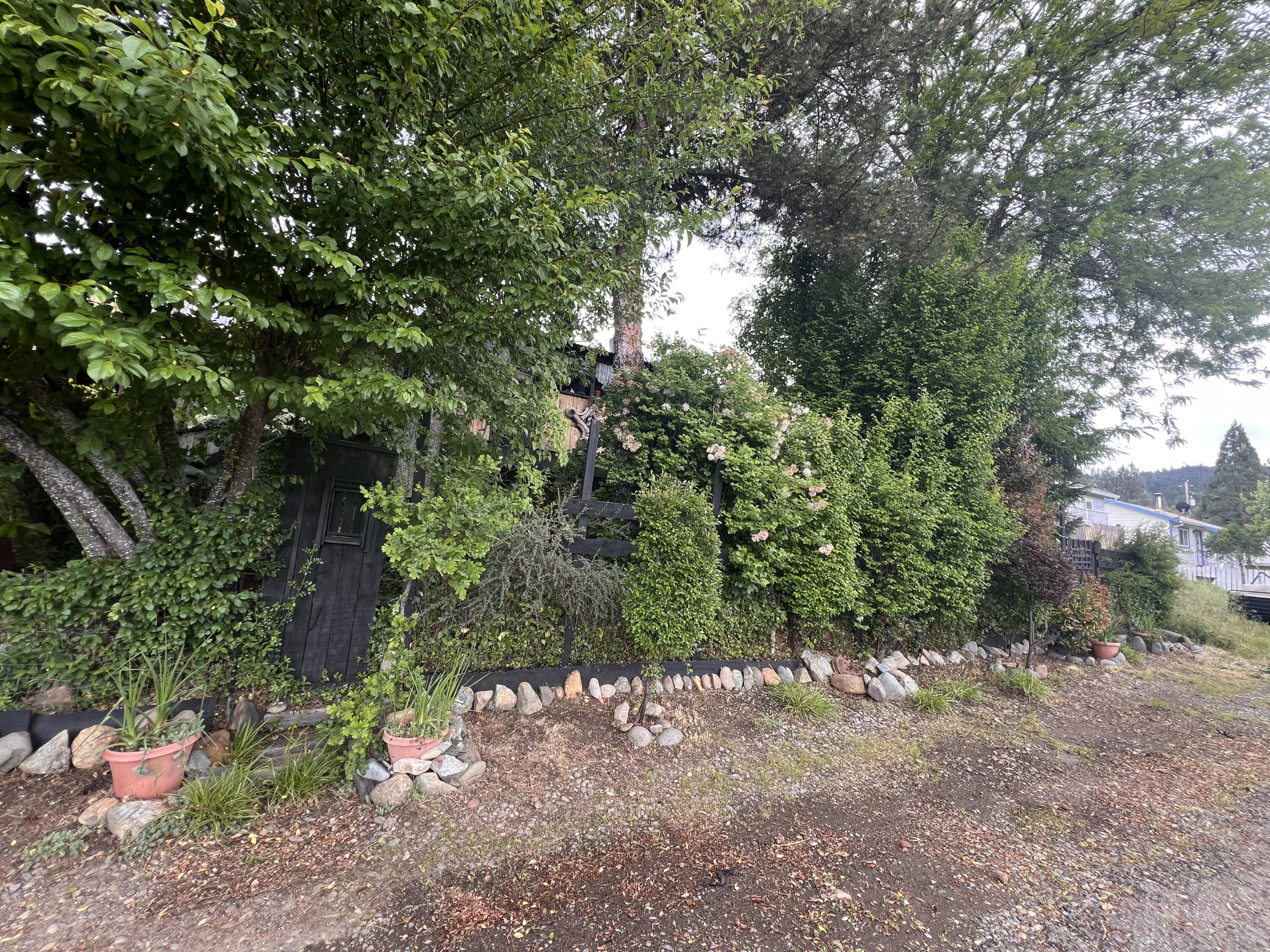 166 Cascade Drive, Lewiston, CA 96052 — photo 3