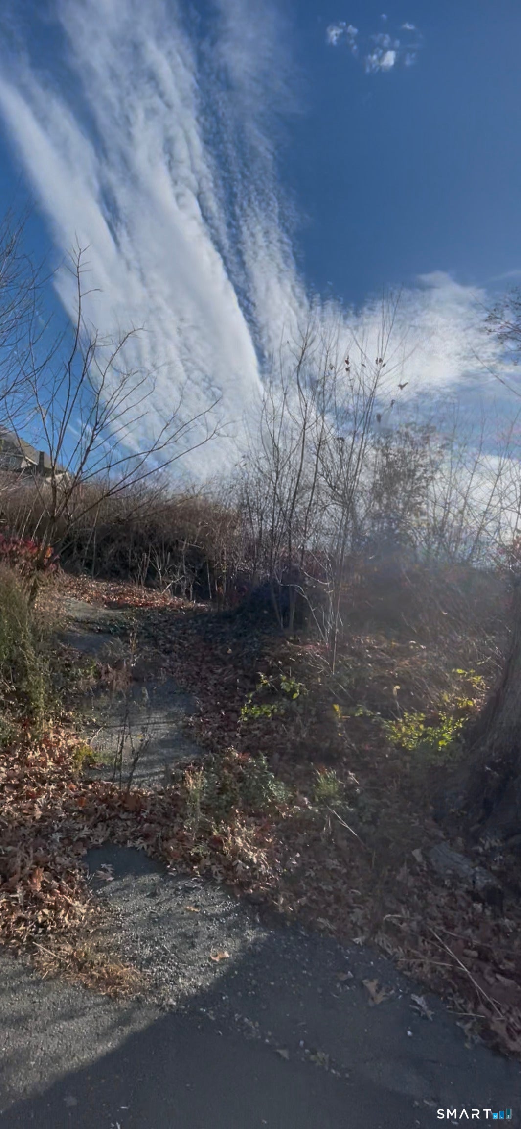 52 Circle Drive — photo