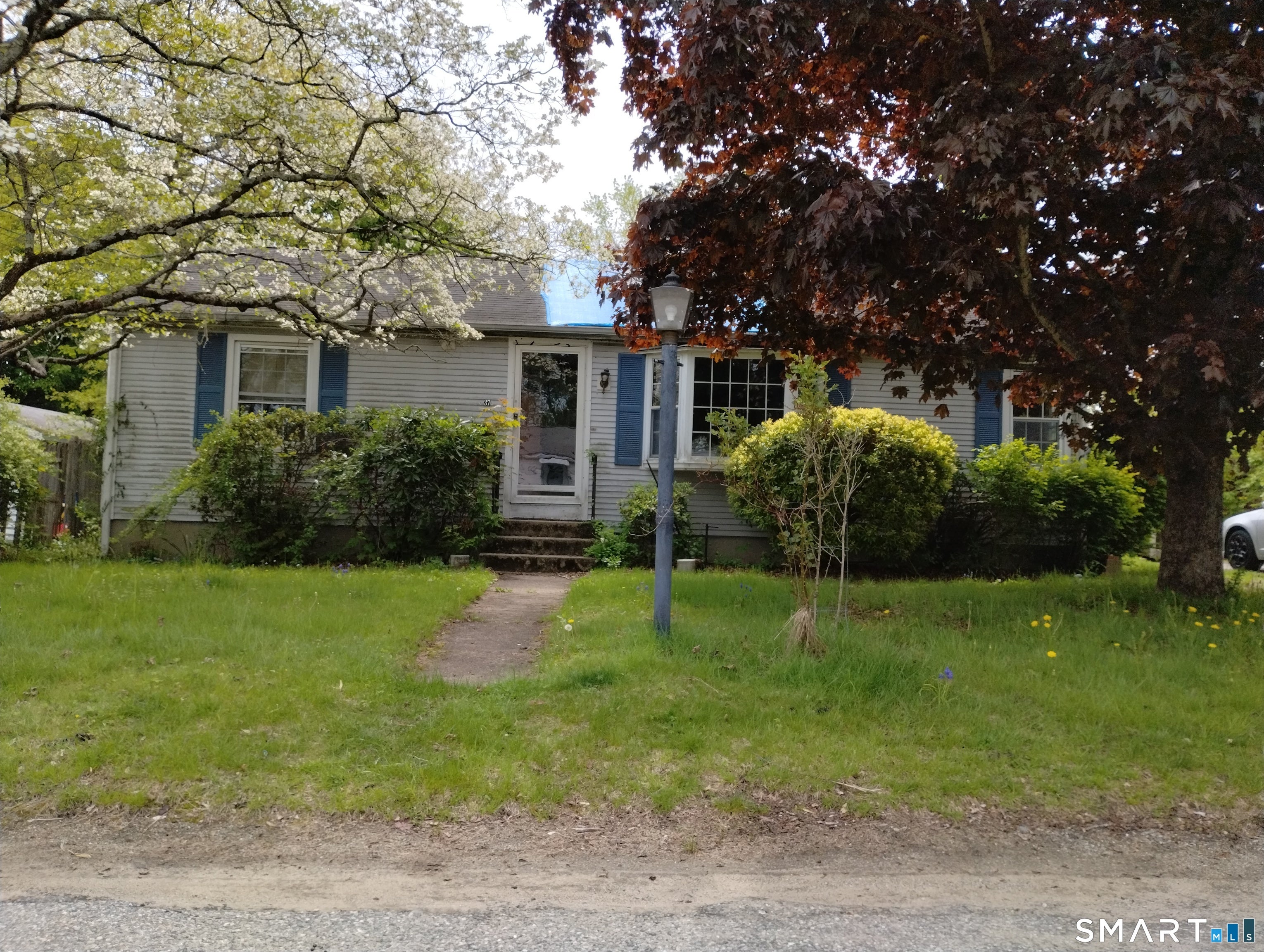 37 Ruth Street — photo