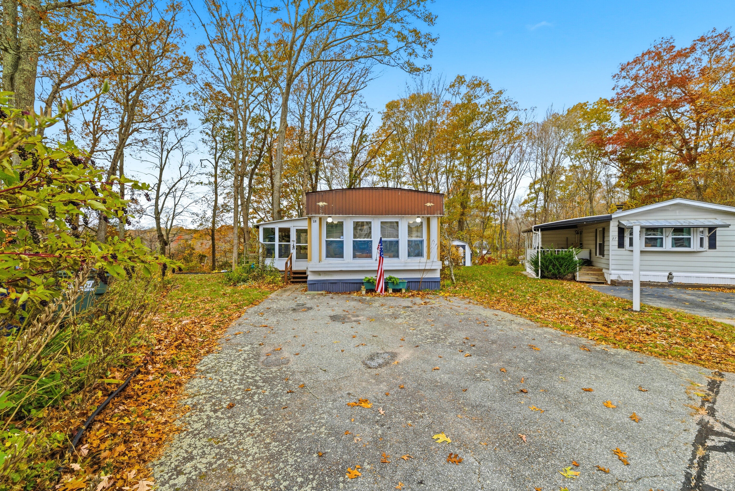 28 Golden Spur — photo