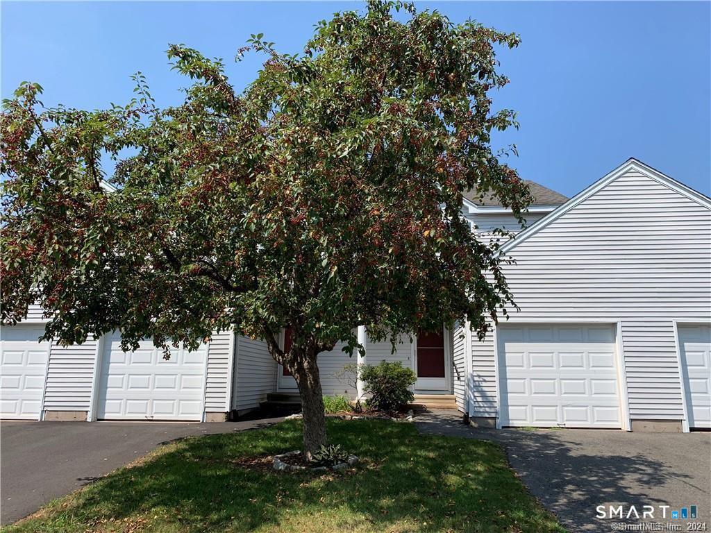 3 Jamie Lane C — photo