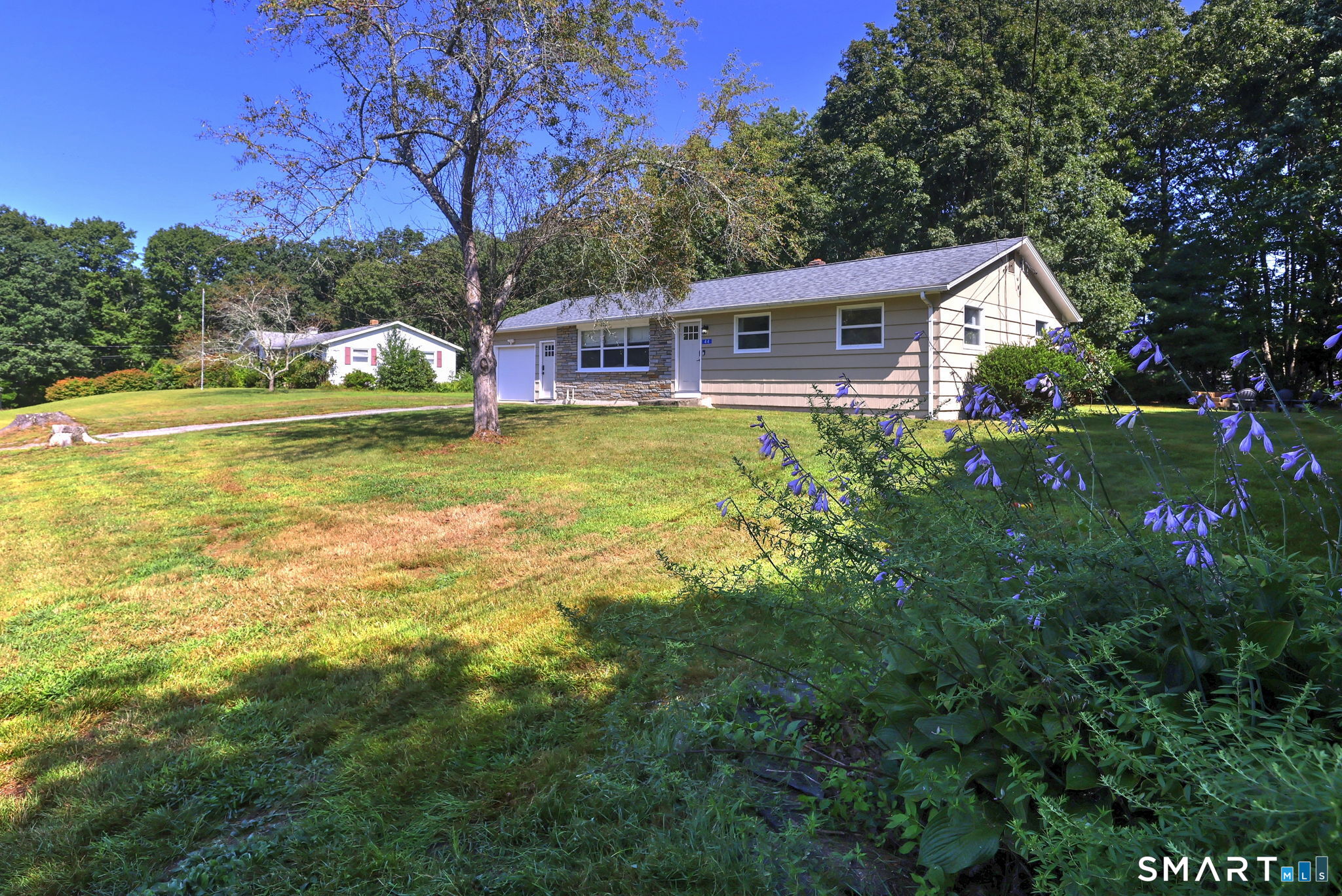 44 Davis Street — photo