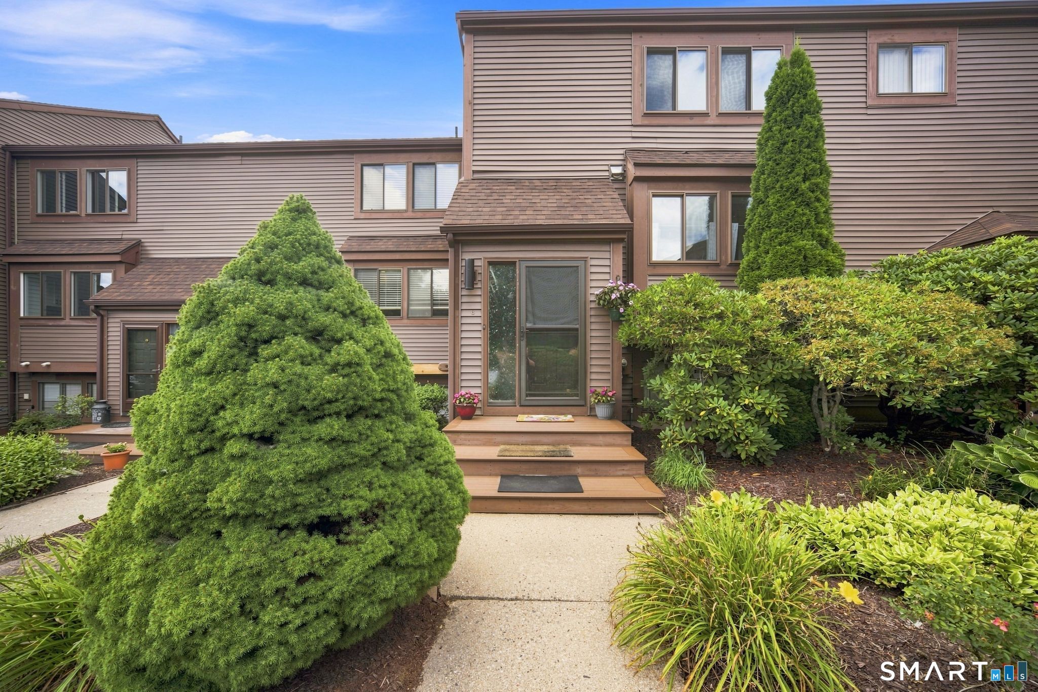 6 Wickhams Fancy 6 — photo