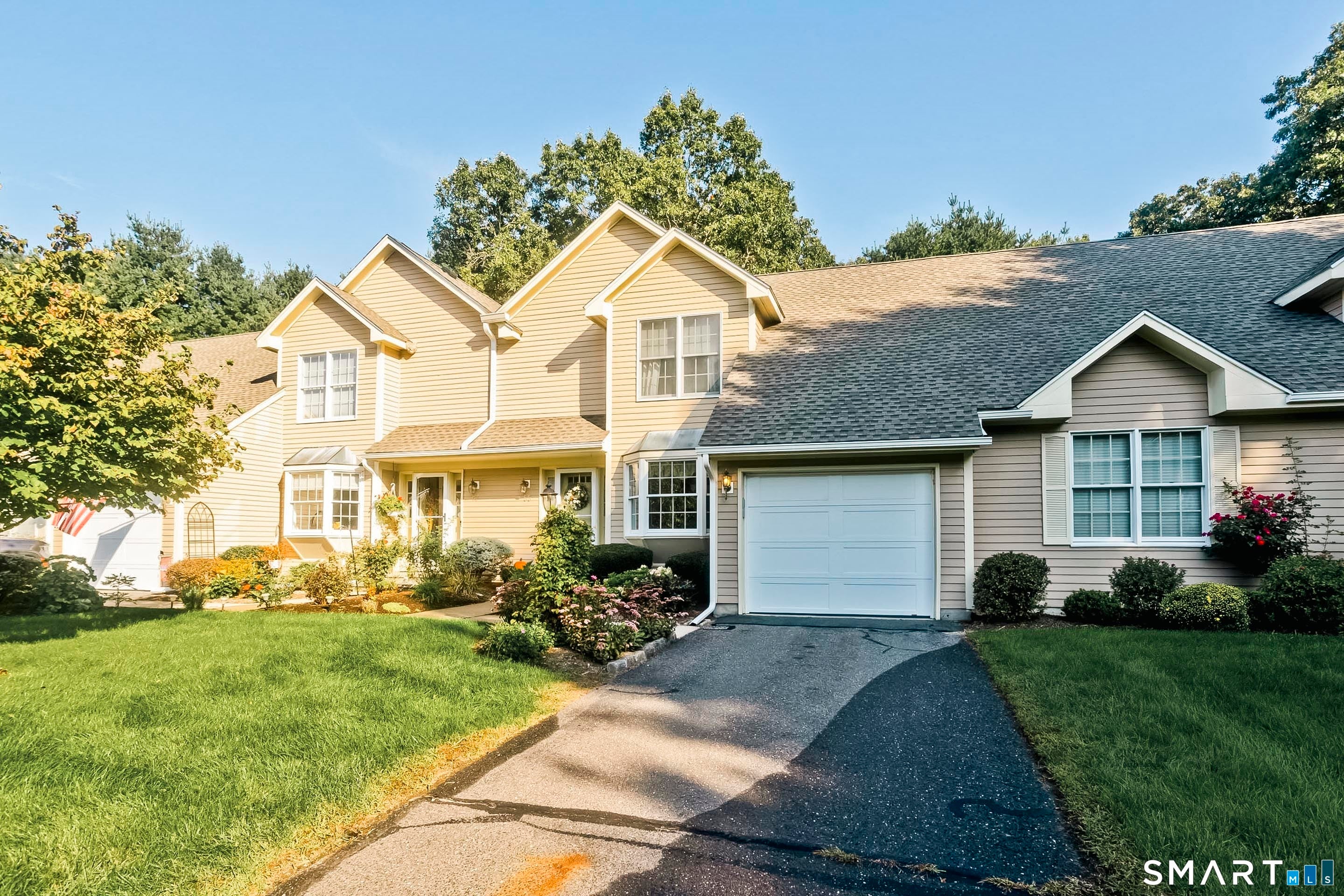 55 Dartmoor 55 — photo
