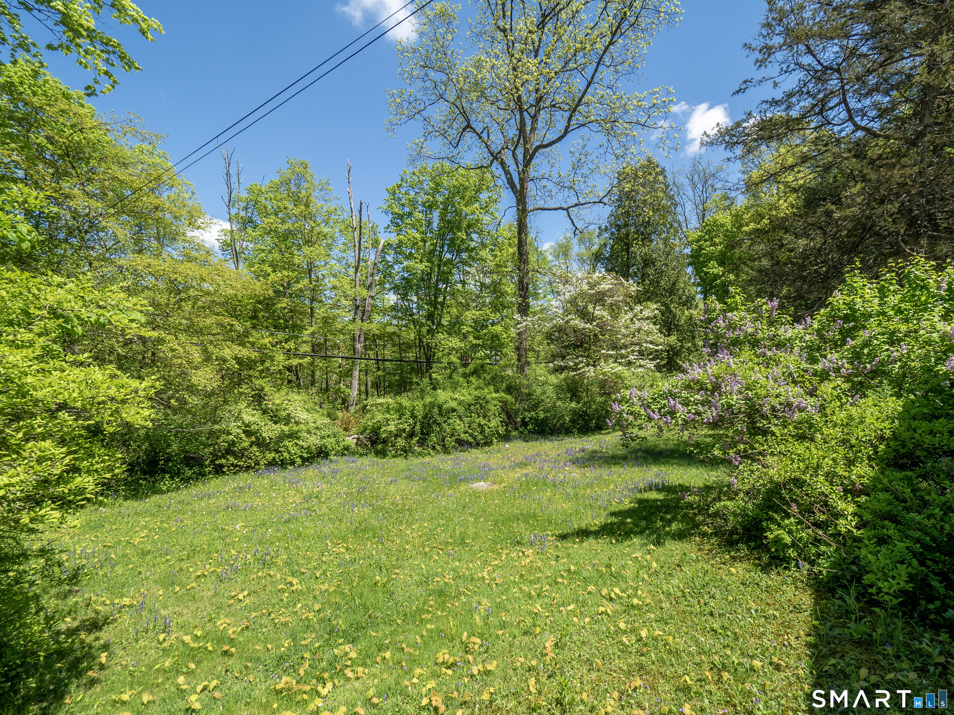 209 Peaceable Street, Ridgefield, CT 06877 — photo 2