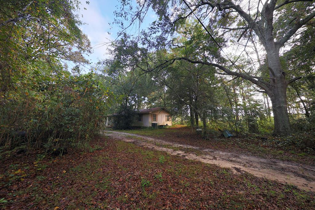23481 N US Hwy 19 (7.46 Ac) — photo