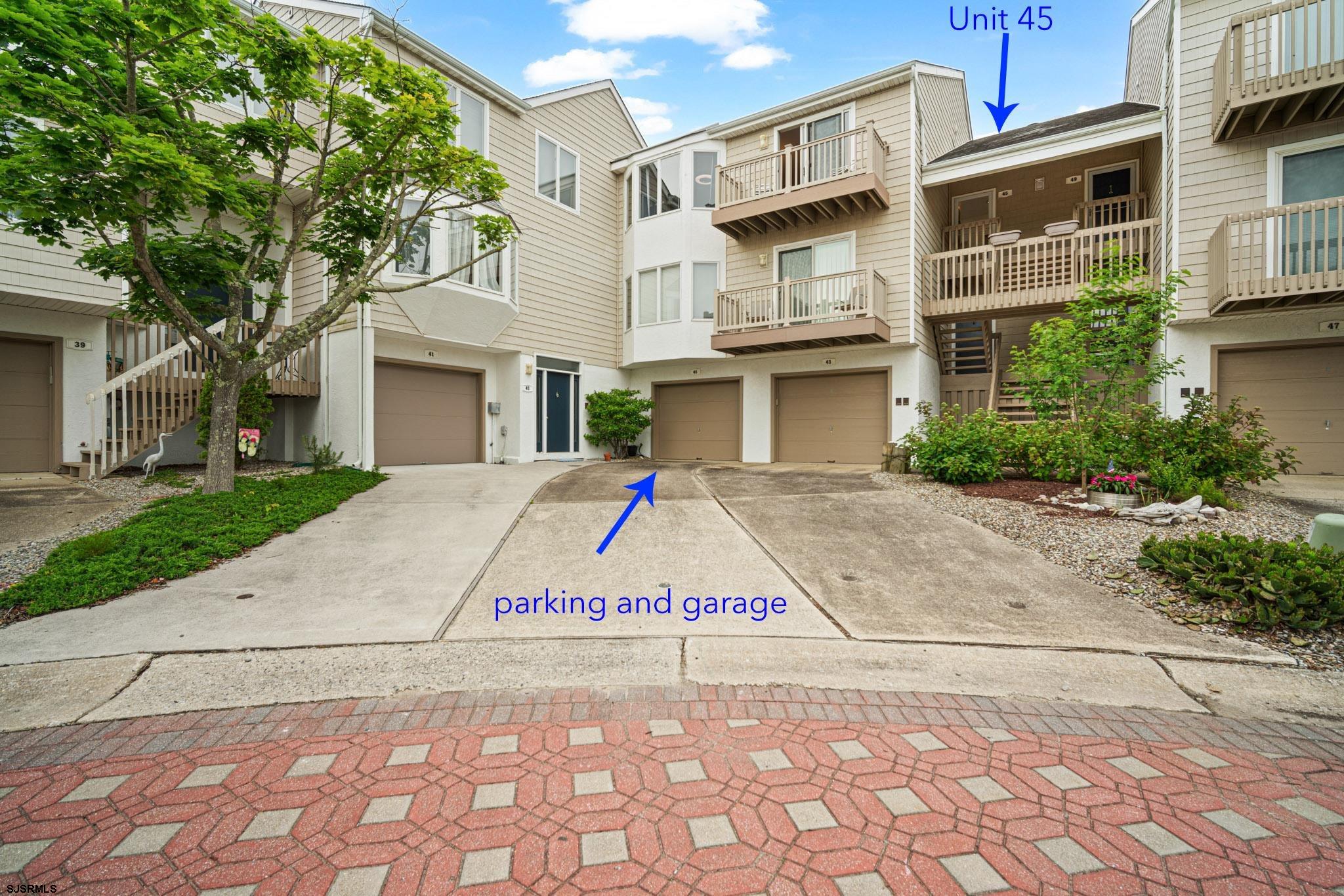 45 Coquille — photo