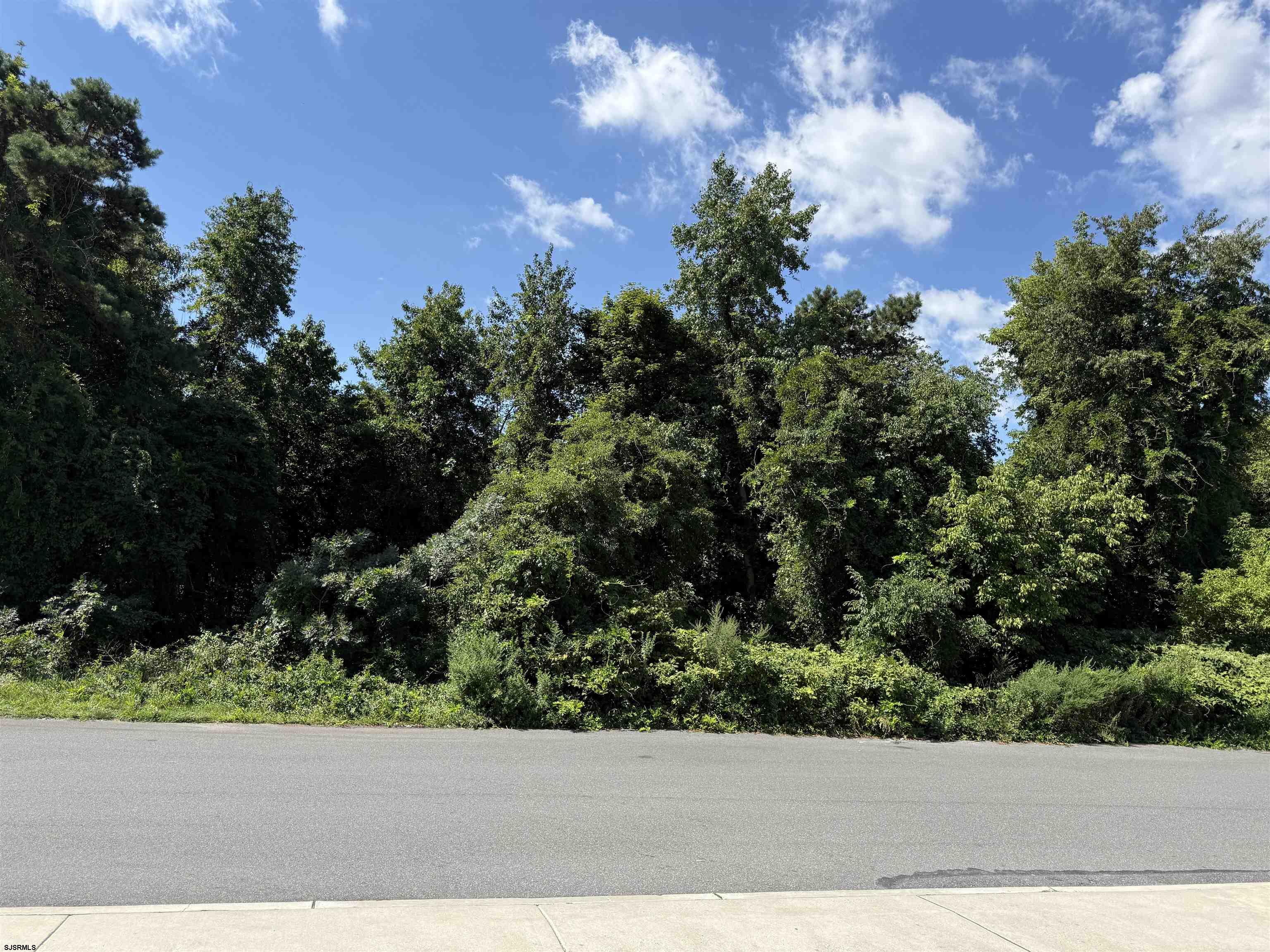 New Road — photo