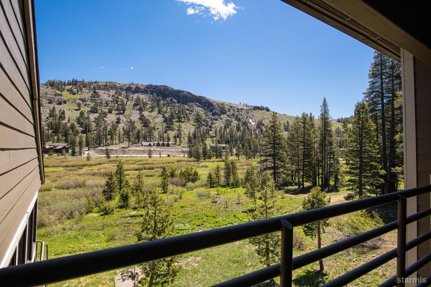 1120 Kirkwood Meadows Drive 217 — photo
