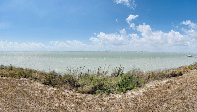 Home in Taft, TX 78390 — photo 2