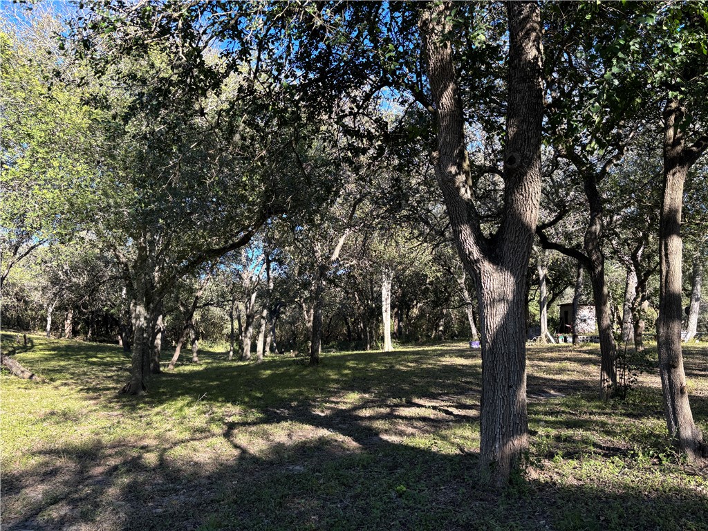 2168 River Oaks — photo