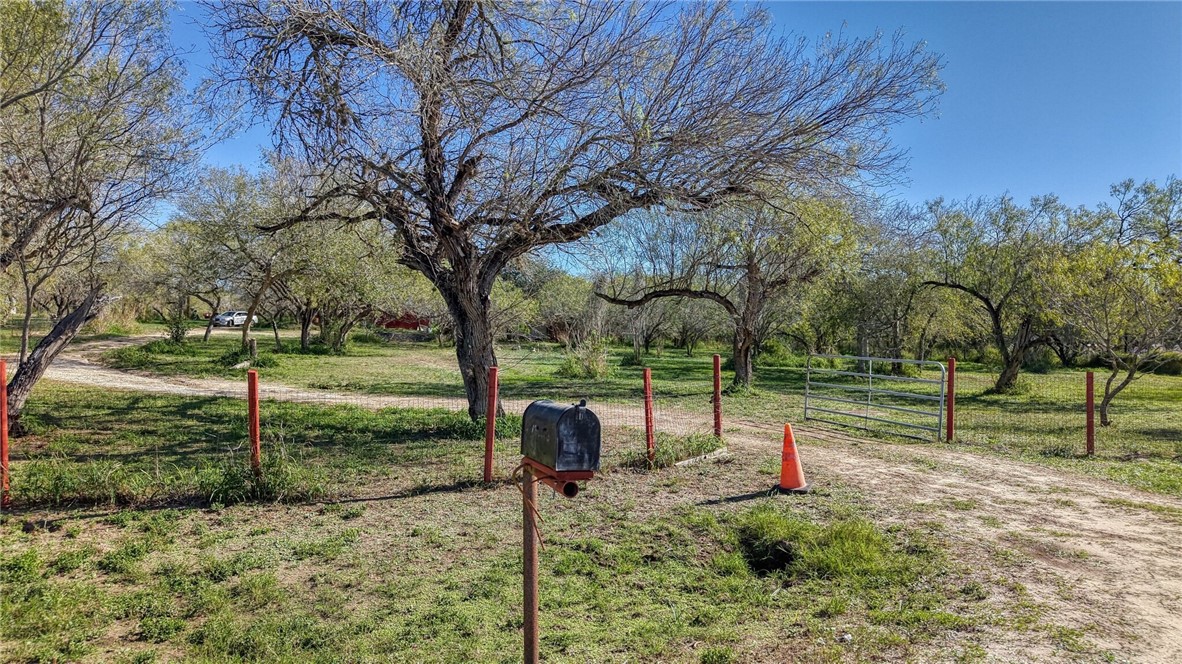 5730 Mockingbird — photo