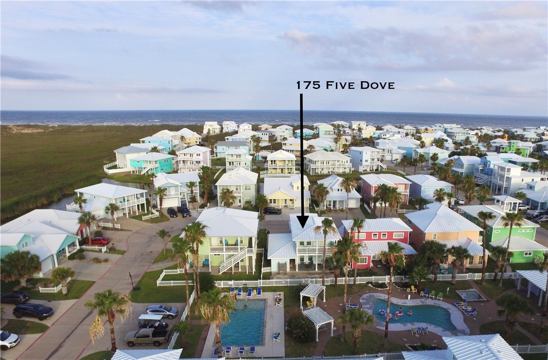 175 Five Dove — photo