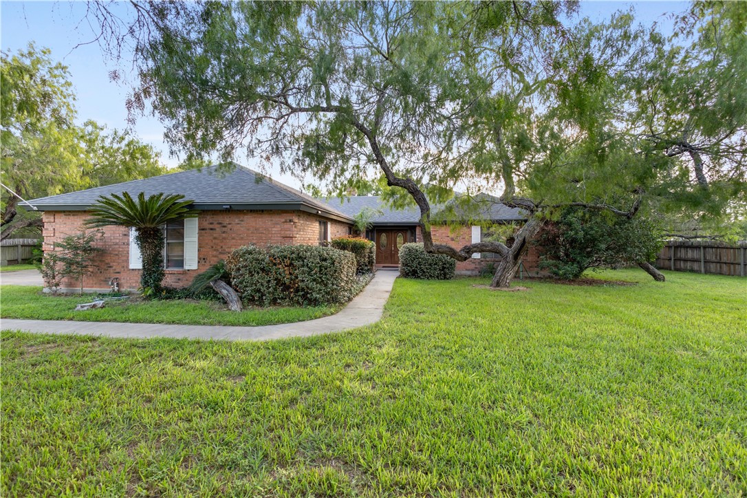 341 Brenda — photo