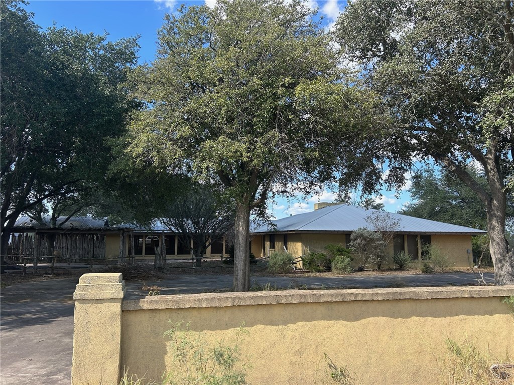 Tbd Honey Mesquite — photo