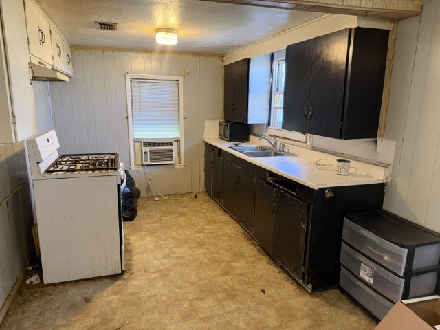 1113 E Steiner Street, Beeville, TX 78102 — photo 3