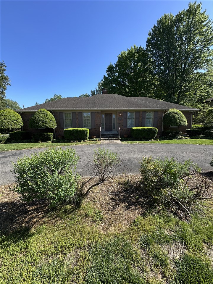 1335 Lois Lane — photo