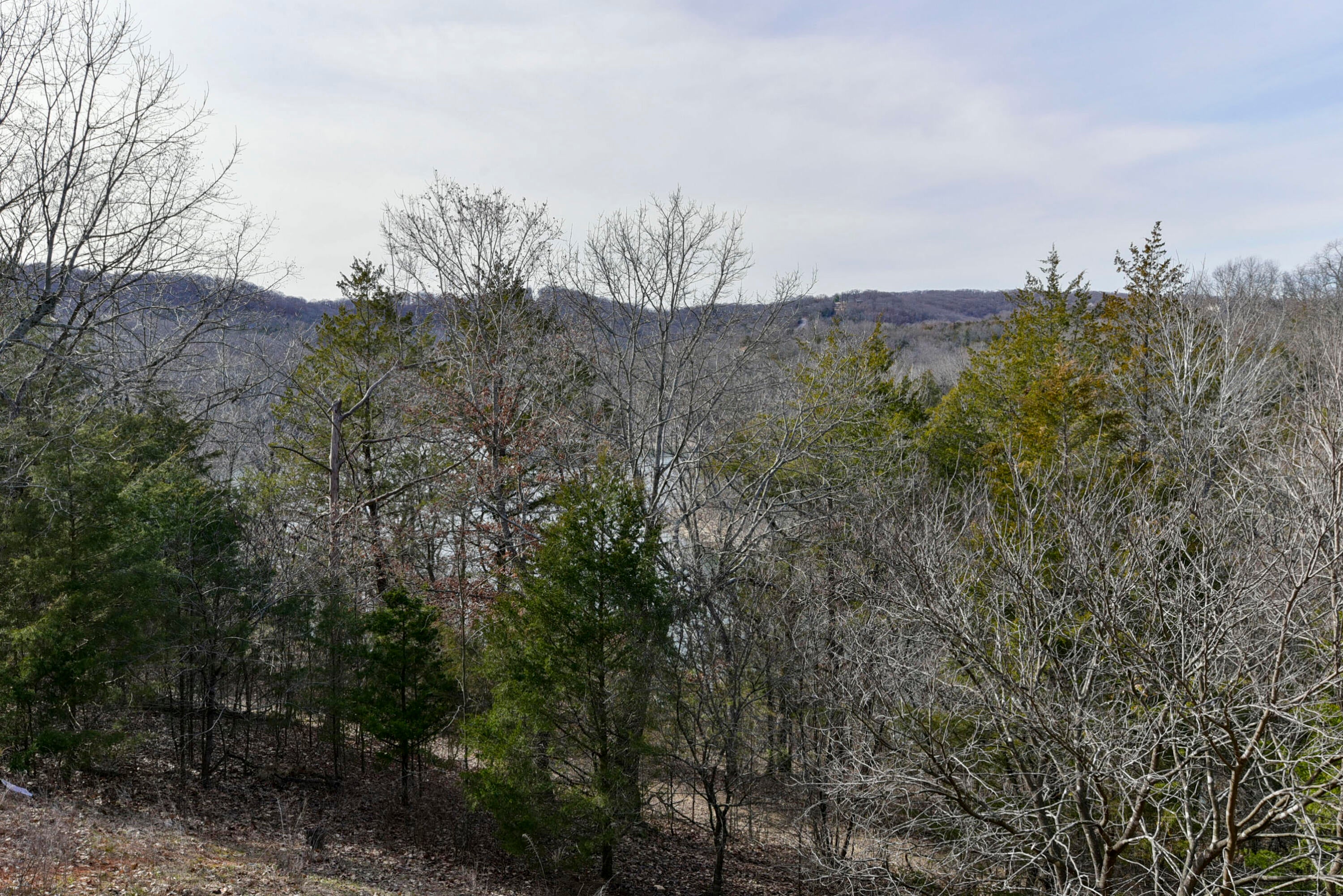 5 Woodpecker Lane 2 — photo