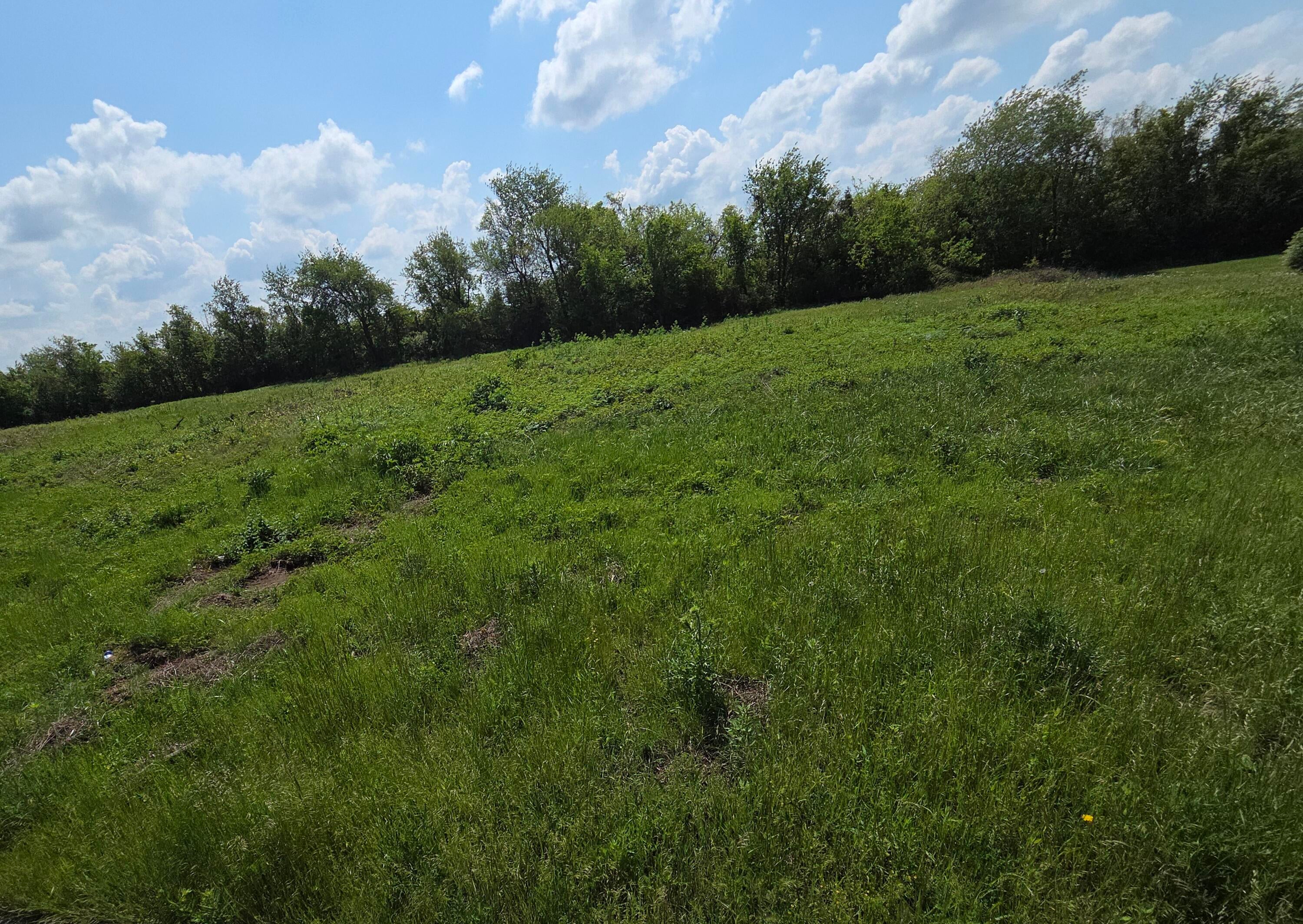 970 N Autin Lane Lot 5 — photo