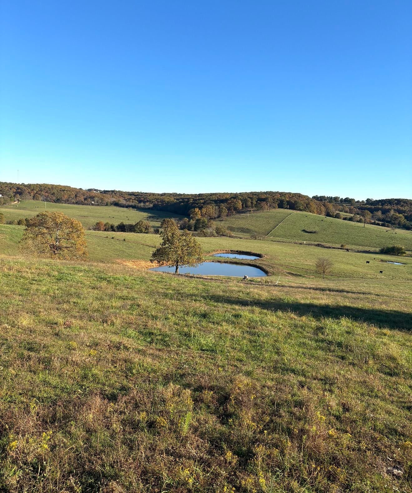 Hc 73 County Road 245 — photo