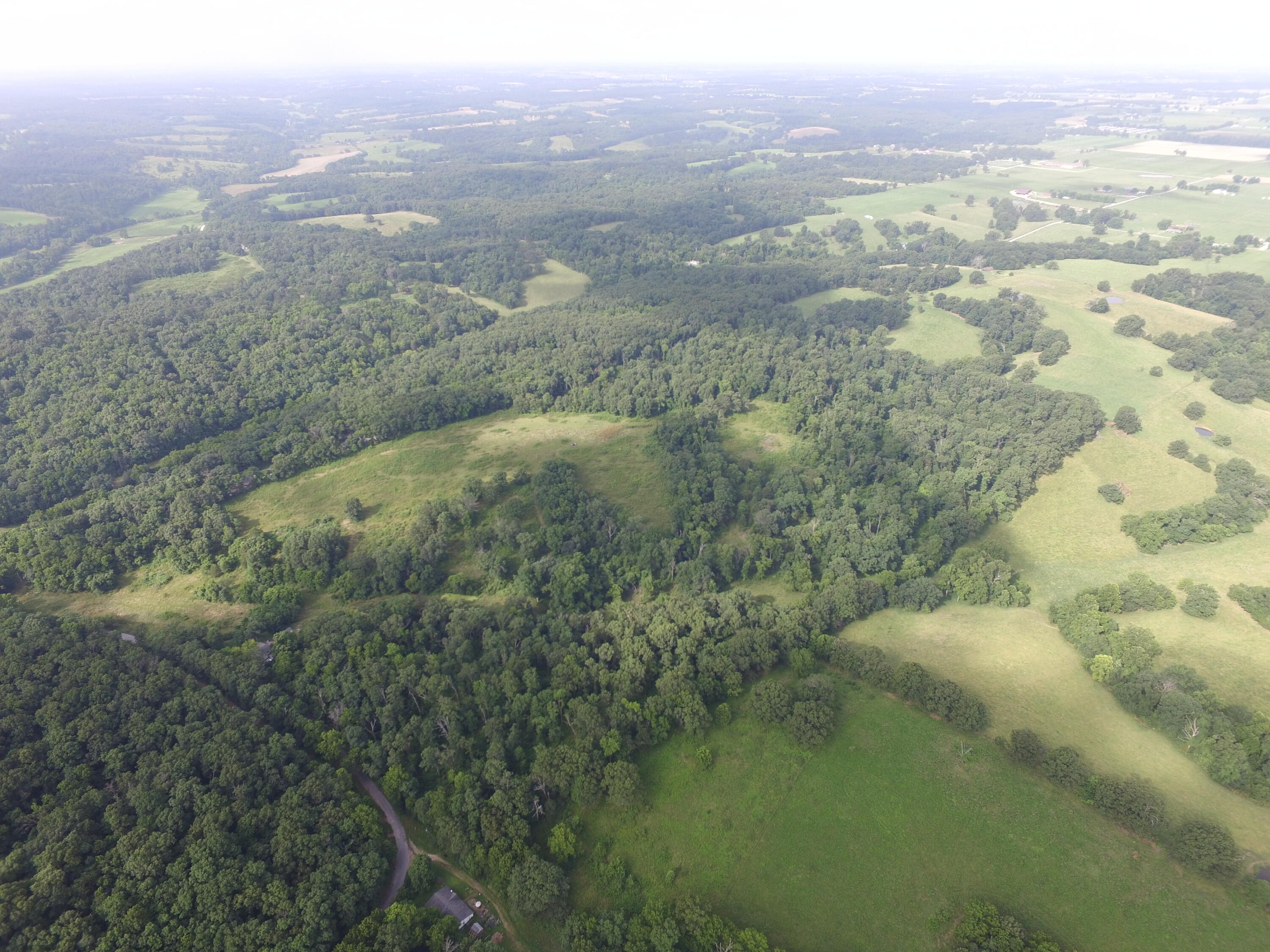 Home in Purdy, MO 65734 — photo 3