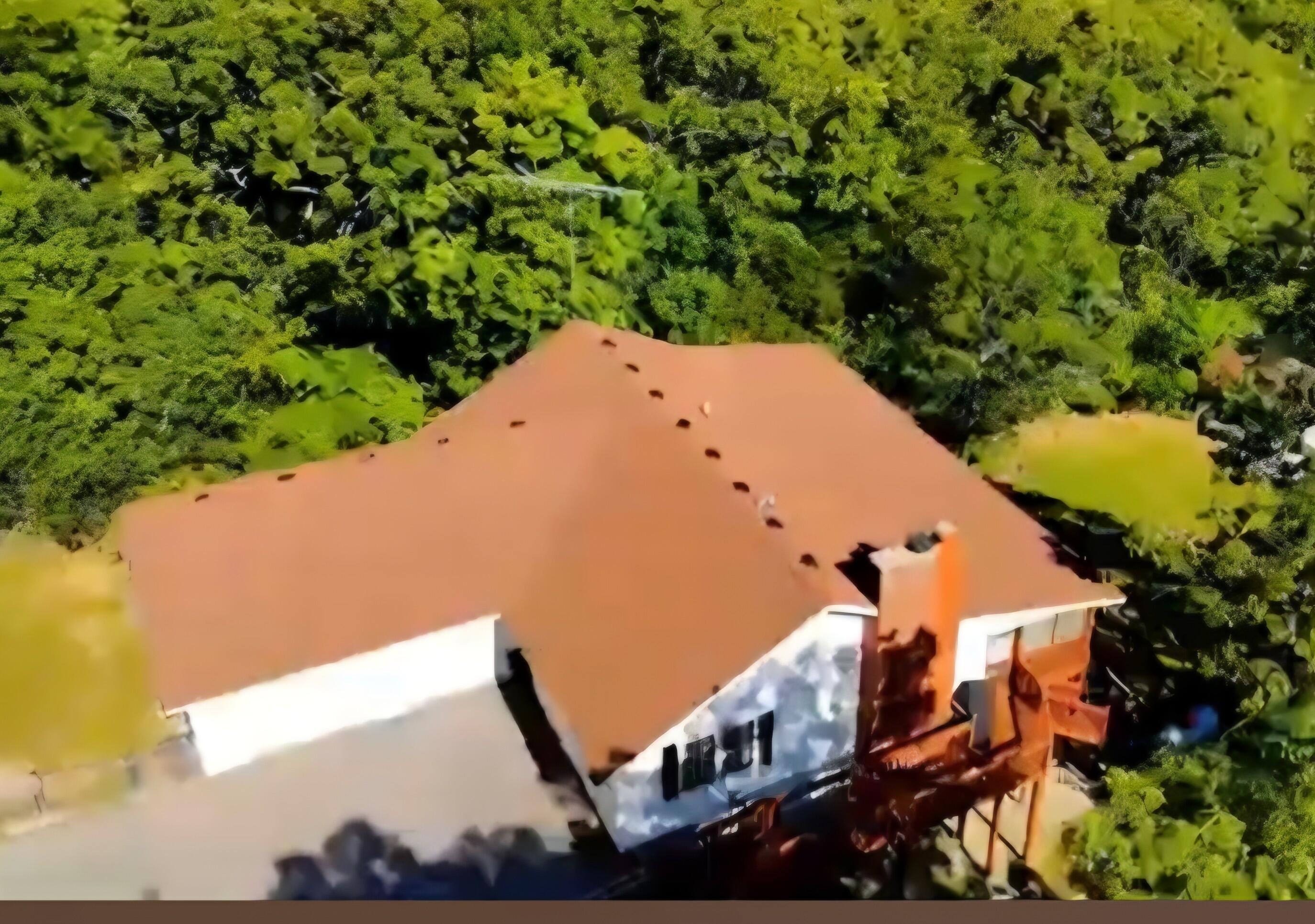 610 Double O Nine Road, Reeds Spring, MO 65737 — photo 3