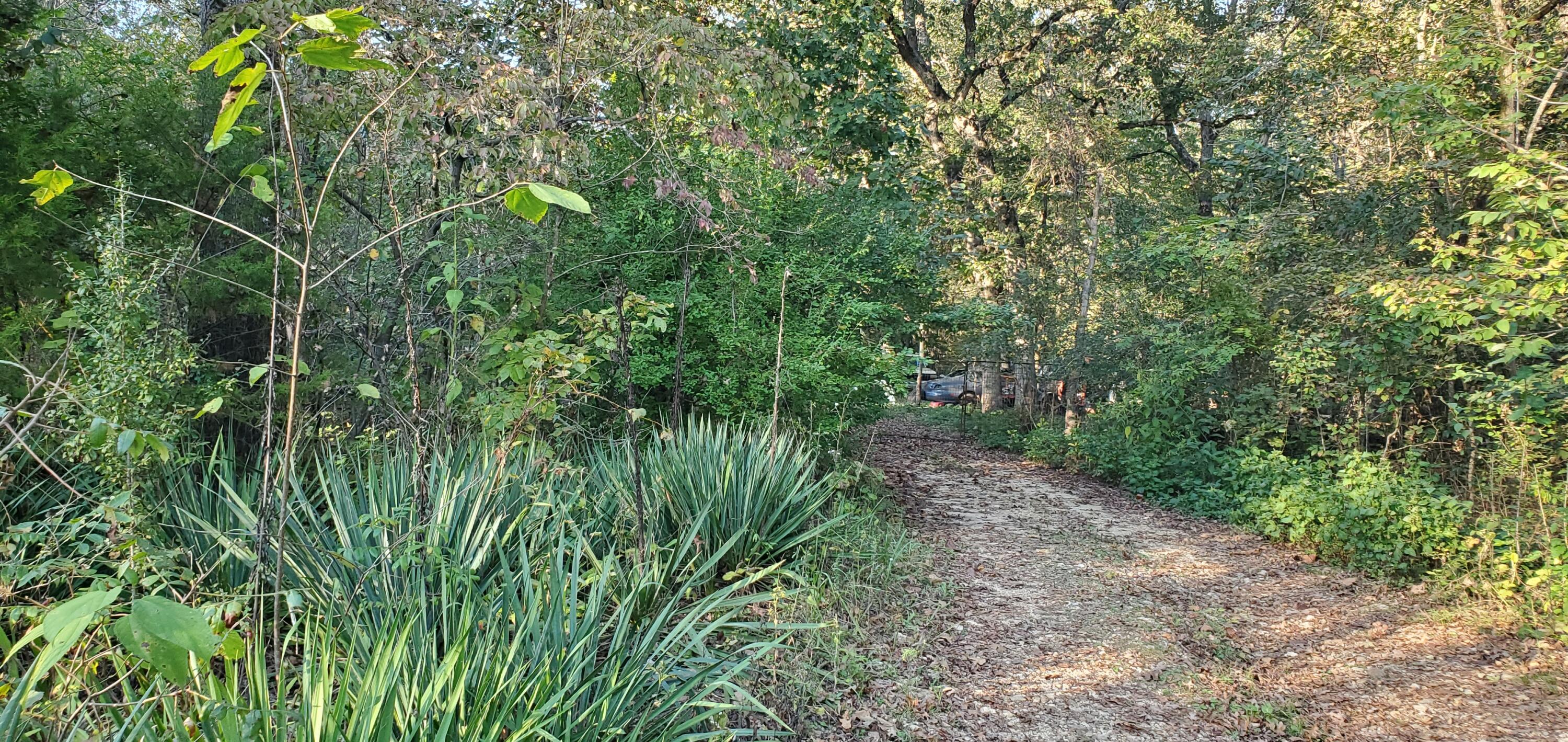 43 Thunder Road, Gainesville, MO 65655 — photo 2