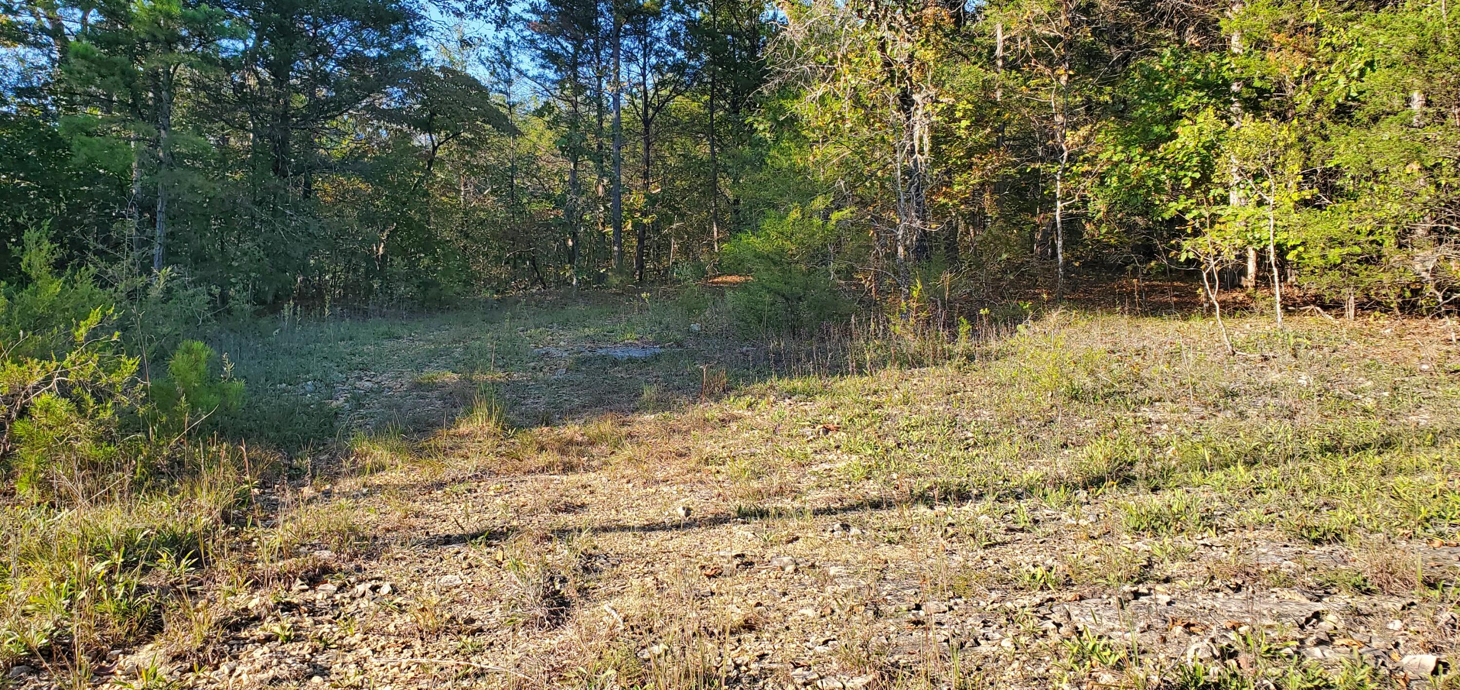 43 Thunder Road, Gainesville, MO 65655 — photo 3