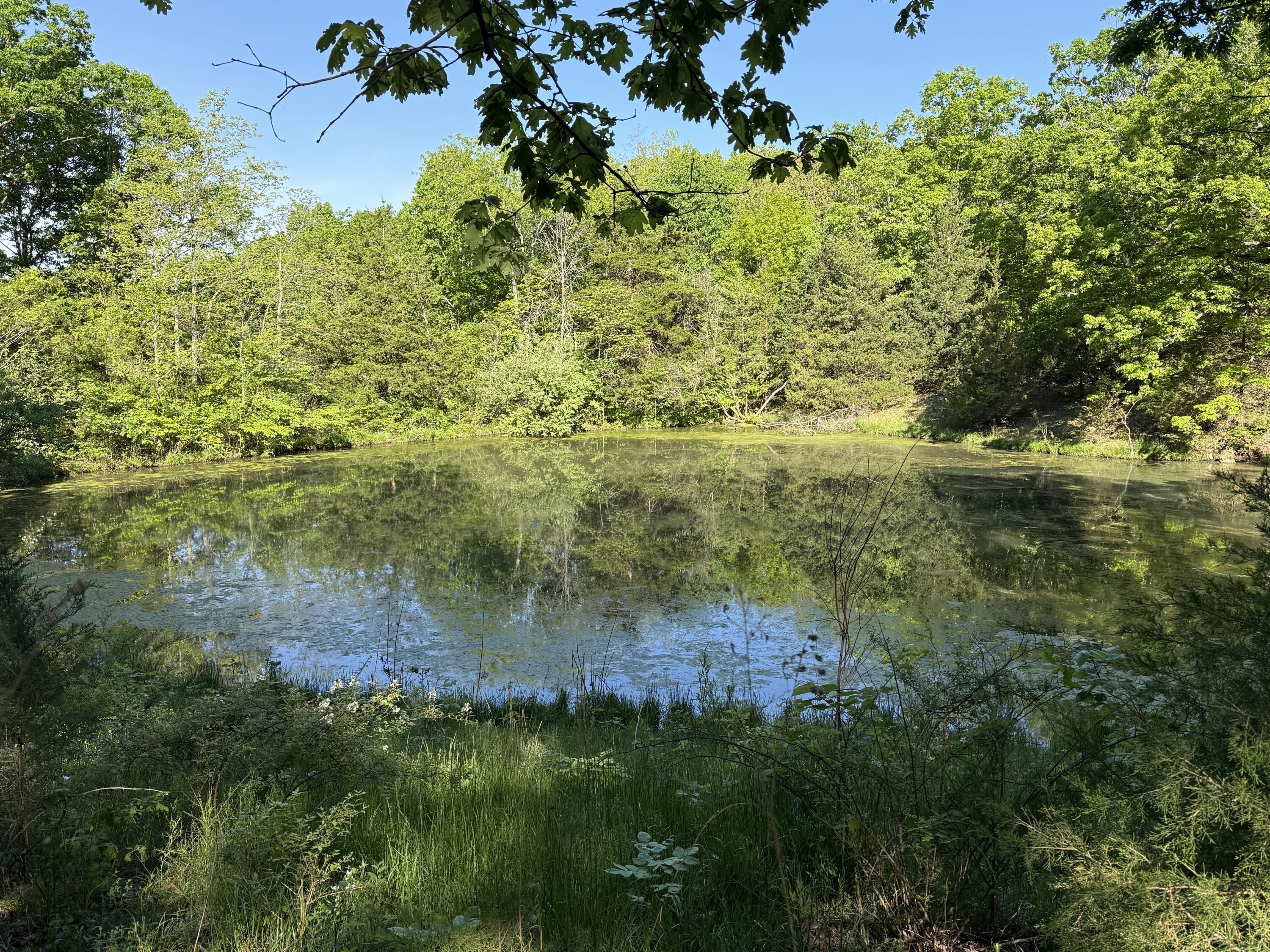 13080 County Road Ee, Cabool, MO 65689 — photo 2