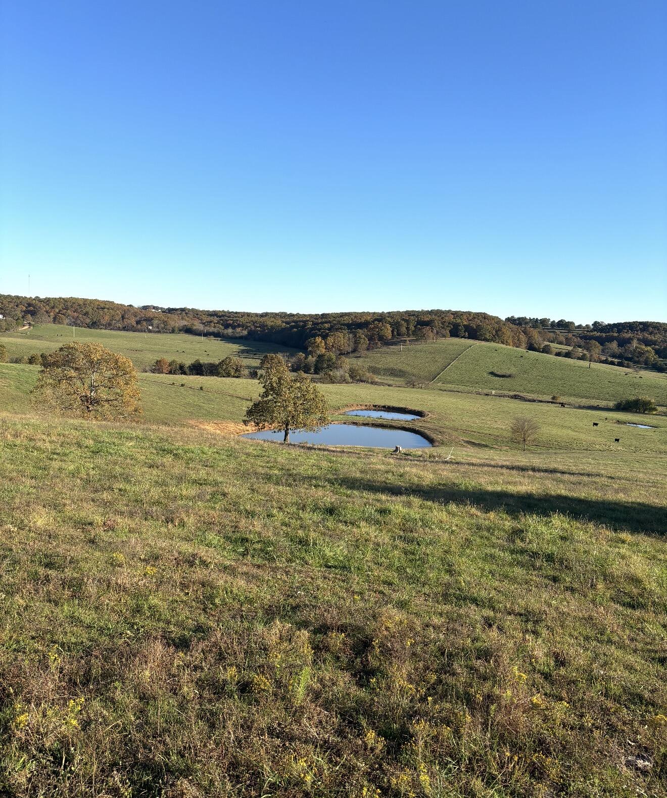 Hc 73 County Road 245 — photo